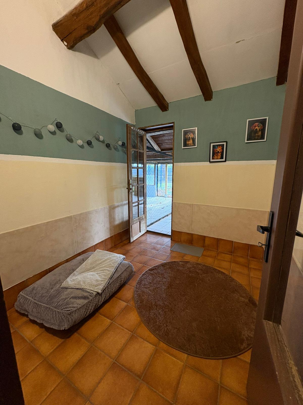 Box confortable pour chien